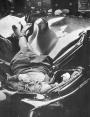 James Unsworth “Evelyn McHale”